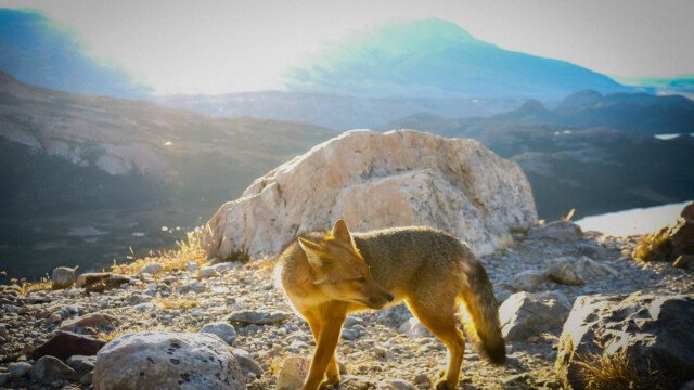 Destinations zve00870